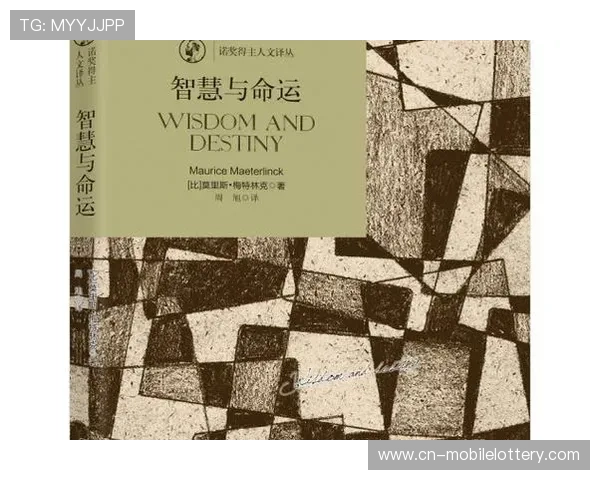 孔滕托：现代社会中的智慧与人文融合